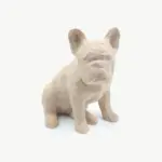Buldogue Francês 3D Seated Model 2