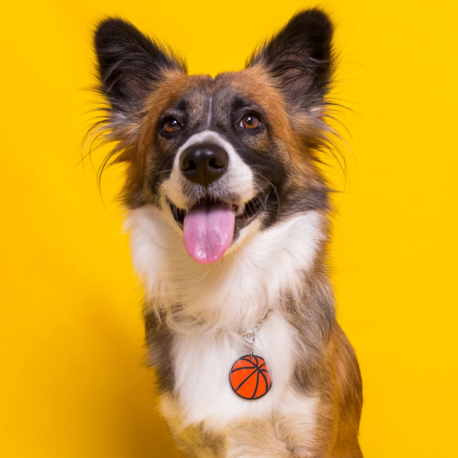 Tag de Identificação com QR Code Bola de Basquete - Petscan - Imagem 3