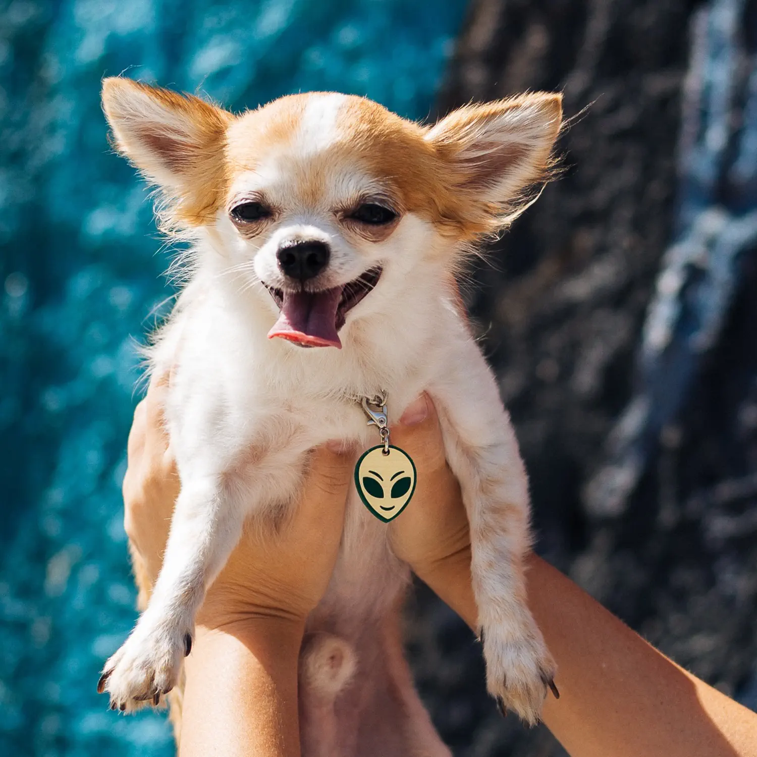 Tag de Identificação com QR Code Alienígena (E.T.) - Petscan - Imagem 3