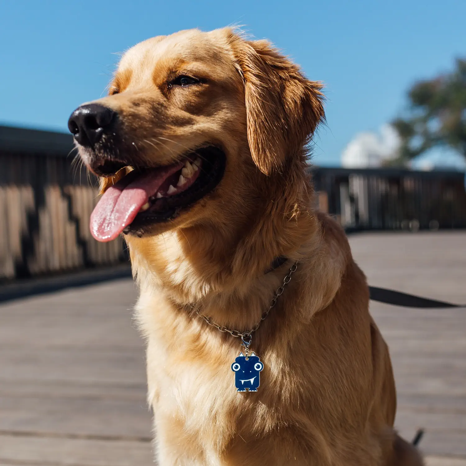 Tag de Identificação com QR Code Lelo - Petscan - Imagem 3