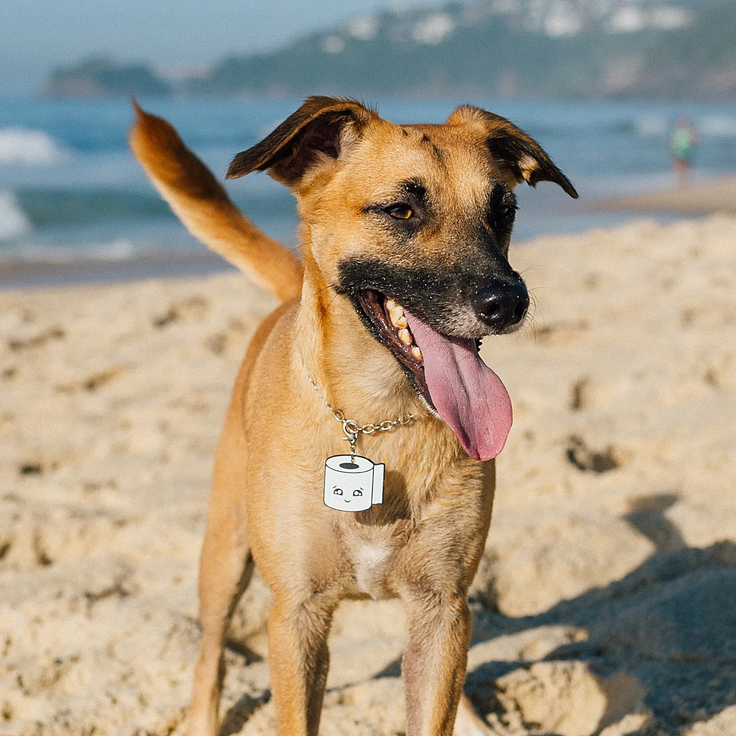 Tag de Identificação com QR Code Papel Higiênico - Petscan - Imagem 3