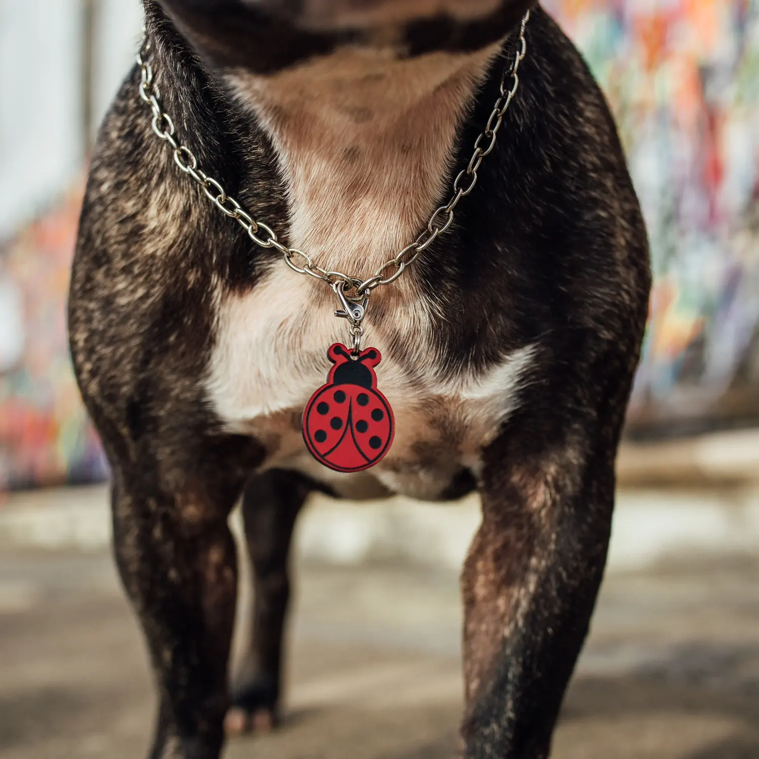 corrente_niquel.webp Corrente para Tag de Identificação - Imagem 1